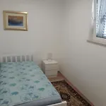 Smokvica Vikendica