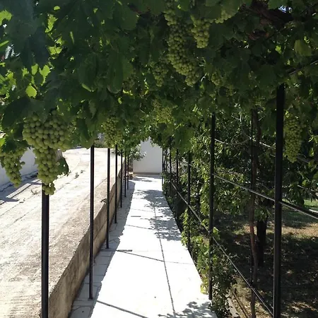 Smokvica